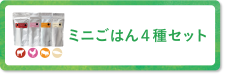 ミニごはん4種セット