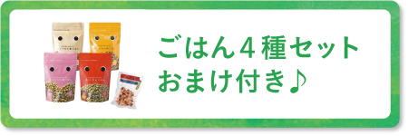 ごはん4種セット