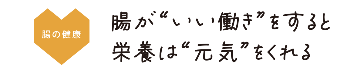 トップイメージ