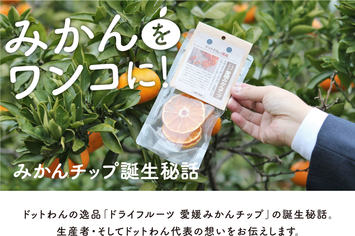 コラム 自然食ドッグフード ドットわん コラム 自然食ドッグフード ドットわん