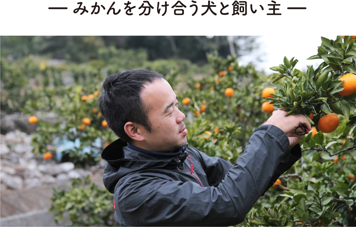 コラム 自然食ドッグフード ドットわん コラム 自然食ドッグフード ドットわん