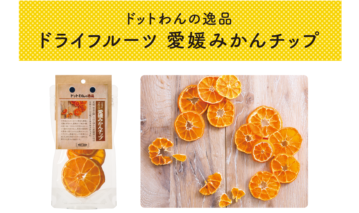 コラム 自然食ドッグフード ドットわん コラム 自然食ドッグフード ドットわん