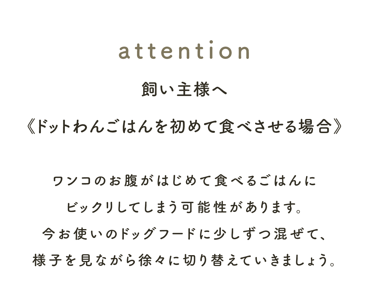使い方 あれこれ 自然食ドッグフード ドットわん