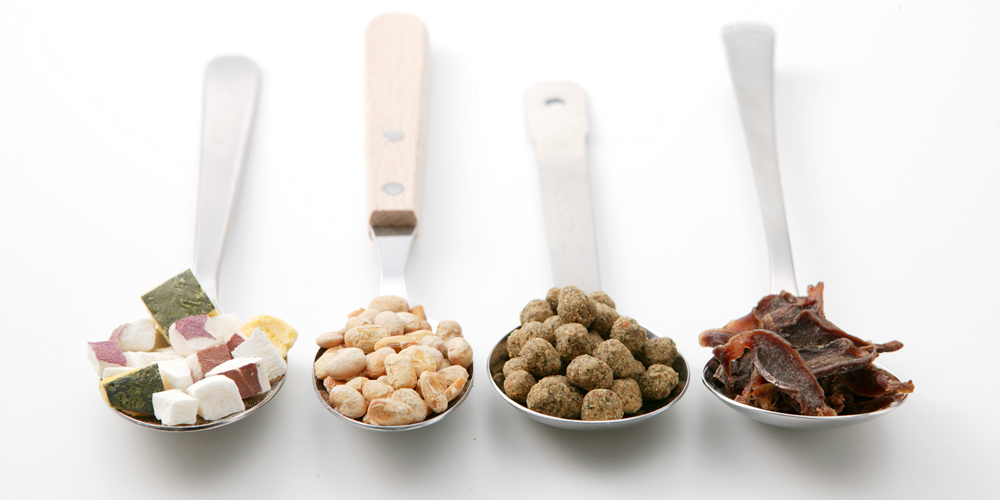 スプーンに載せたドットわん商品たちのイメージ画像