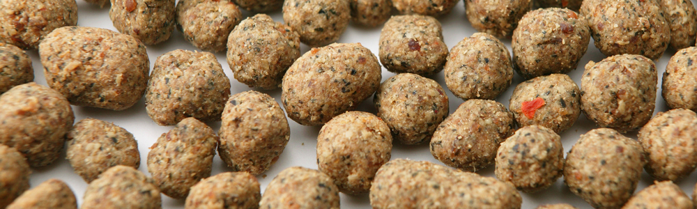 ドットわんごはんの粒のイメージ画像