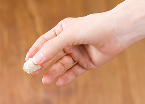 フリーズドライを手で持って与える