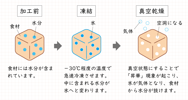 コラム 自然食ドッグフード ドットわん