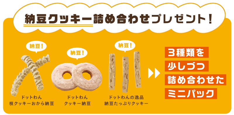 納豆クッキー3種類プレゼント