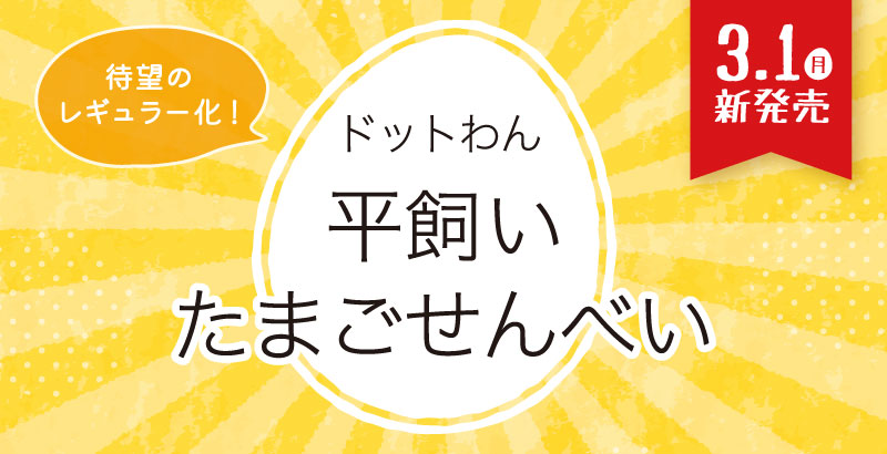 祝!レギュラー!