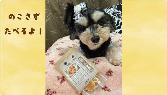 ドットわん平飼いたまごせんべい 大好きワンズたちのレビューやお写真 動画をご紹介 自然食ドッグフード ドットわん
