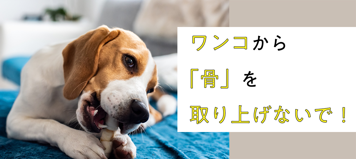 ワンコから「骨」を取り上げないで!