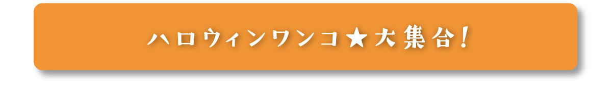 ハロウィンワンコはこちらから