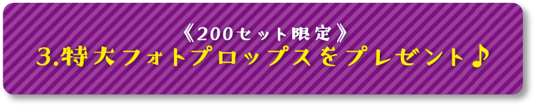 3.特大フォトプロップスをプレゼント♪