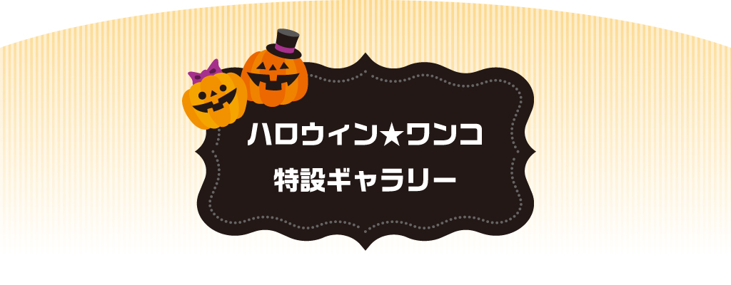 ハロウィン★ワンコ特設ギャラリー