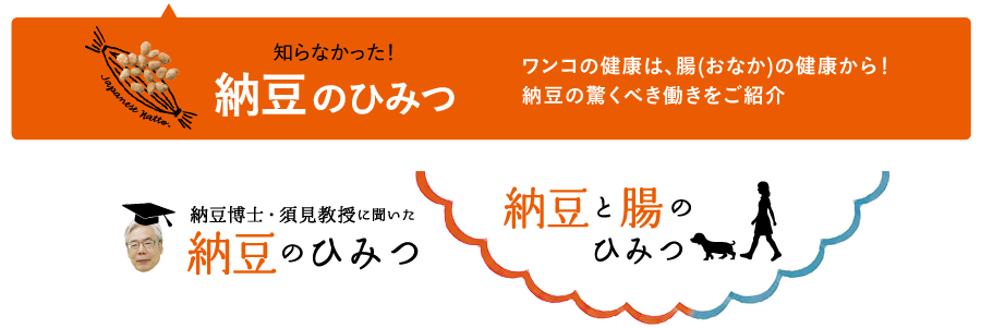 知らなかった!納豆のひみつ