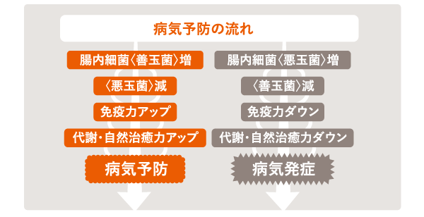 病気予防の流れ