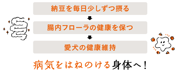 病気をはねのける身体へ