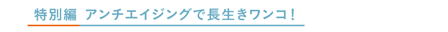 アンチエイジングで長生きワンコ