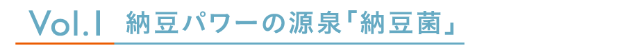 納豆パワーの源泉「納豆菌」