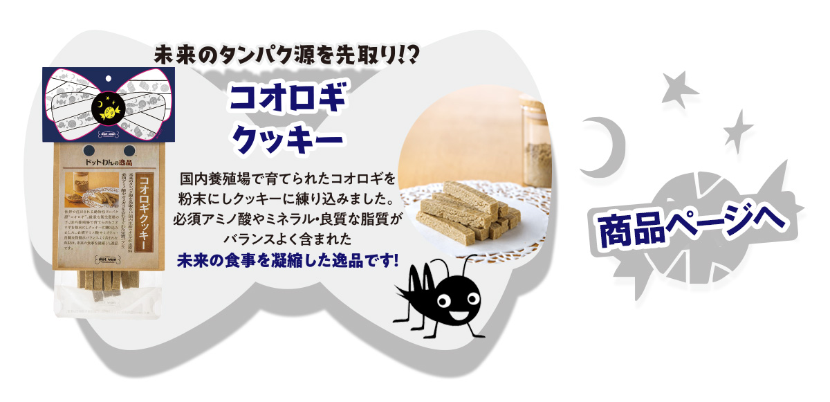 コオロギクッキー