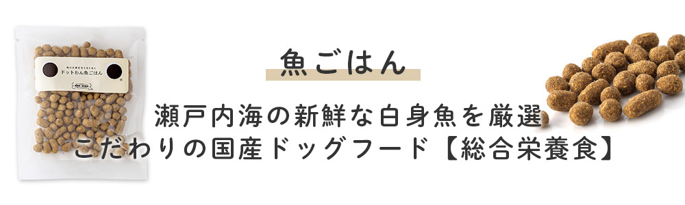 魚ごはん