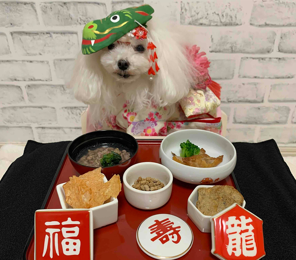 (神奈川県)うゆ ちゃん