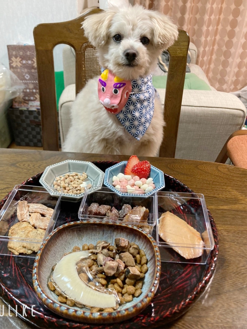 (宮城県)カム ちゃん