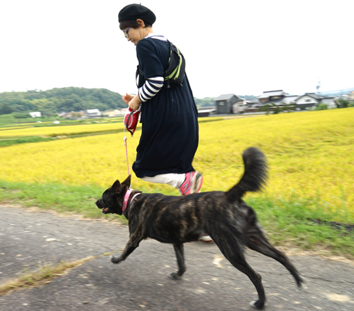 ドットわん生活10月号（コンテンツ5）