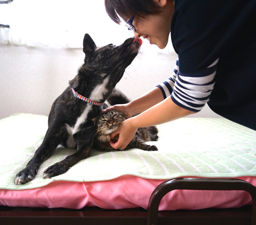 ドットわん生活10月号（飼い主様画像）