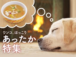 寒い季節もワンコほっこり♪あったかごはん特集