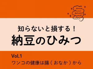 知らないと損する！納豆のひみつ【Vol.1 ワンコの健康は腸(おなか)から】