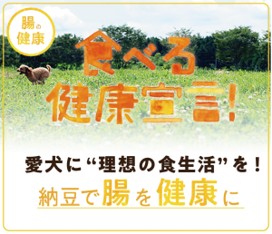 食べる健康宣言！愛犬に“理想の食生活”を！《納豆で腸を健康に》