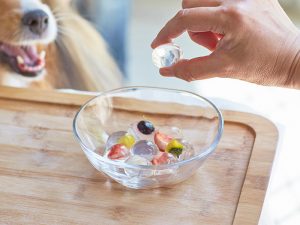 【ワンコの夏バテ対策に！】水を食べよう！美味しく水分補給