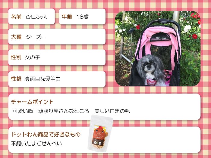 シーズーLoveちゃん確認用 選りすぐり