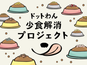 愛犬の「食べてくれない」「食に興味がない」にお悩みの飼い主さまへ【ドットわん少食解消プロジェクト】