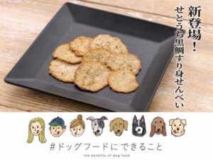 大人気!「ドットわんの逸品 瀬戸内黒鯛すり身せんべい」が再登場します【#ドッグフードにできること】