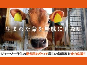 未活用のジャージー仔牛肉を愛犬用おやつに!【#ドッグフードにできること】