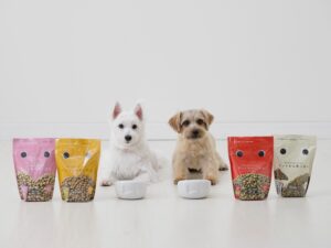 ドッグフードはグレインフリーにすべき？「穀物の役割」と安心できるごはん