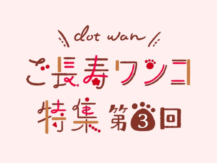 【ドットわん お客さま参加企画】第3回ご長寿ワンコ大募集！